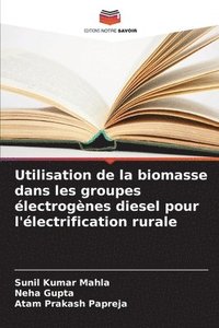 bokomslag Utilisation de la biomasse dans les groupes électrogènes diesel pour l'électrification rurale