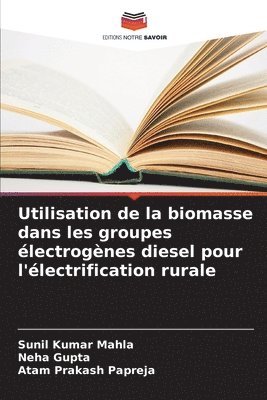 Utilisation de la biomasse dans les groupes électrogènes diesel pour l'électrification rurale 1