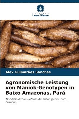 bokomslag Agronomische Leistung von Maniok-Genotypen in Baixo Amazonas, Par