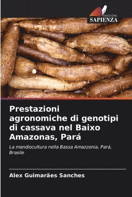 Prestazioni agronomiche di genotipi di cassava nel Baixo Amazonas, Pará 1