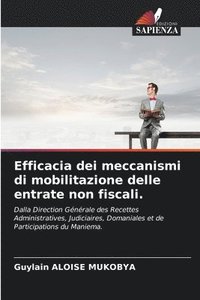 bokomslag Efficacia dei meccanismi di mobilitazione delle entrate non fiscali.