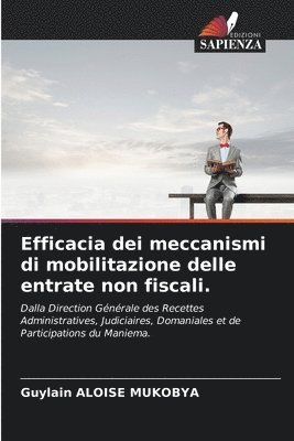 Efficacia dei meccanismi di mobilitazione delle entrate non fiscali. 1