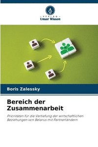 bokomslag Bereich der Zusammenarbeit