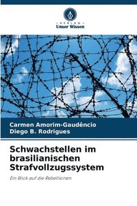 bokomslag Schwachstellen im brasilianischen Strafvollzugssystem