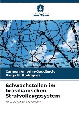 Schwachstellen im brasilianischen Strafvollzugssystem 1