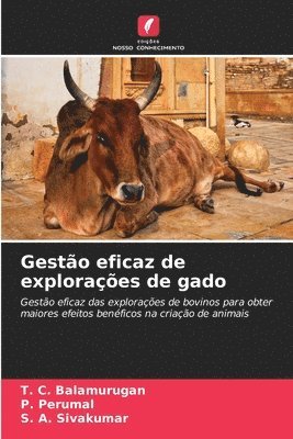 Gesto eficaz de exploraes de gado 1