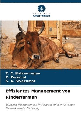 bokomslag Effizientes Management von Rinderfarmen