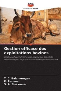 bokomslag Gestion efficace des exploitations bovines