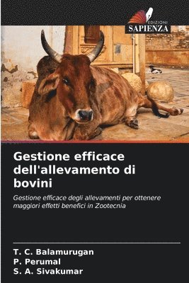 bokomslag Gestione efficace dell'allevamento di bovini