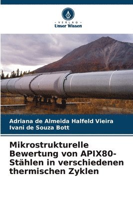 bokomslag Mikrostrukturelle Bewertung von APIX80-Sthlen in verschiedenen thermischen Zyklen