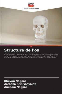 Structure de l'os 1