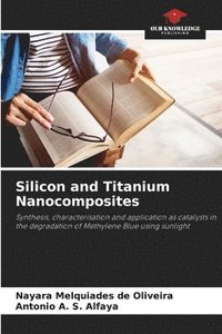 bokomslag Silicon and Titanium Nanocomposites