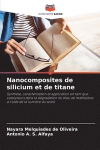 bokomslag Nanocomposites de silicium et de titane