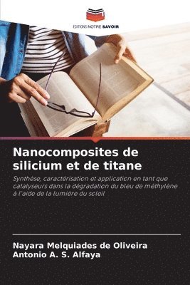 bokomslag Nanocomposites de silicium et de titane