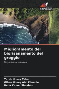 bokomslag Miglioramento del biorisanamento del greggio