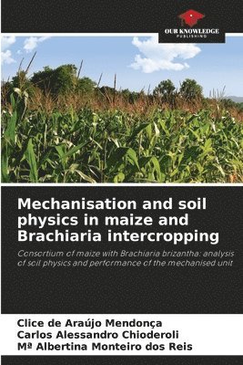 Mechanisation and soil physics in maize and Brachiaria intercropping 1