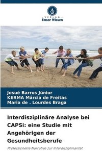 bokomslag Interdisziplinre Analyse bei CAPSi