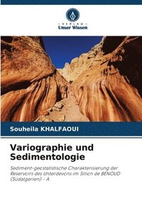 bokomslag Variographie und Sedimentologie