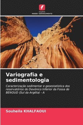 bokomslag Variografia e sedimentologia