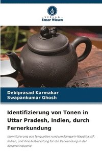 bokomslag Identifizierung von Tonen in Uttar Pradesh, Indien, durch Fernerkundung