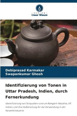 bokomslag Identifizierung von Tonen in Uttar Pradesh, Indien, durch Fernerkundung