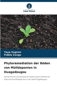 bokomslag Phytoremediation der Bden von Mlldeponien in Ouagadougou