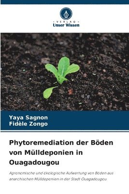 bokomslag Phytoremediation der Bden von Mlldeponien in Ouagadougou