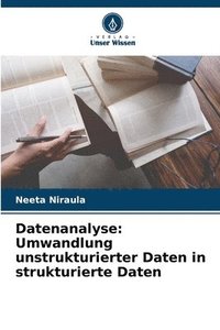 bokomslag Datenanalyse