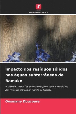 bokomslag Impacto dos resíduos sólidos nas águas subterrâneas de Bamako