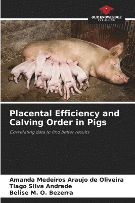 bokomslag Placental Efficiency and Calving Order in Pigs