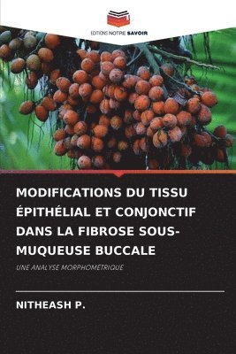 bokomslag Modifications Du Tissu Épithélial Et Conjonctif Dans La Fibrose Sous-Muqueuse Buccale