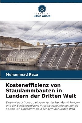 bokomslag Kosteneffizienz von Staudammbauten in Ländern der Dritten Welt