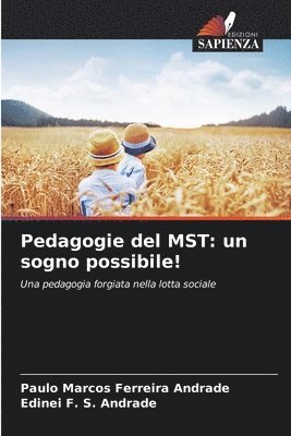 bokomslag Pedagogie del MST