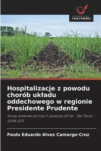 bokomslag Hospitalizacje z powodu chorób ukladu oddechowego w regionie Presidente Prudente