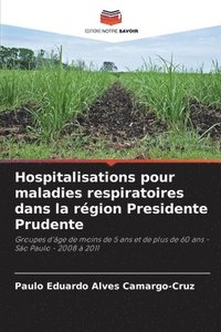 bokomslag Hospitalisations pour maladies respiratoires dans la région Presidente Prudente