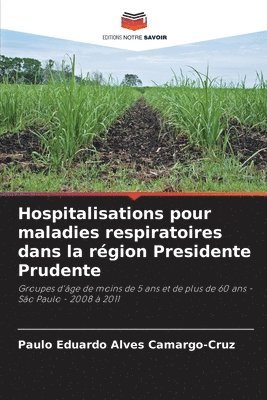 bokomslag Hospitalisations pour maladies respiratoires dans la rgion Presidente Prudente