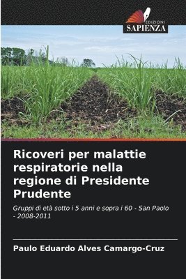 Ricoveri per malattie respiratorie nella regione di Presidente Prudente 1