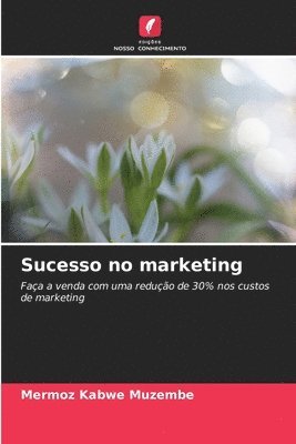 bokomslag Sucesso no marketing