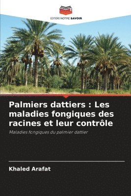 Palmiers dattiers 1