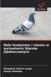 bokomslag Rola hinduizmu i islamu w wyzwoleniu Stanów Zjednoczonych