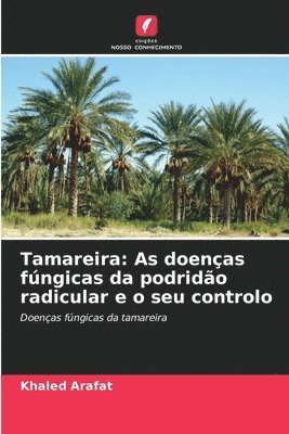 Tamareira 1