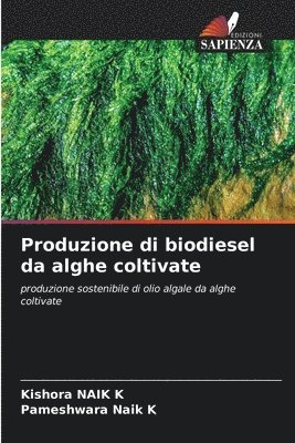 bokomslag Produzione di biodiesel da alghe coltivate