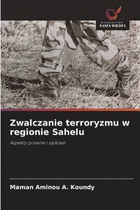 bokomslag Zwalczanie terroryzmu w regionie Sahelu