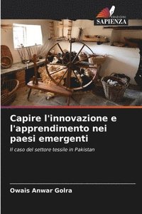 bokomslag Capire l'innovazione e l'apprendimento nei paesi emergenti