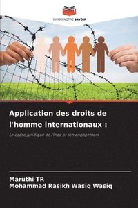 bokomslag Application des droits de l'homme internationaux