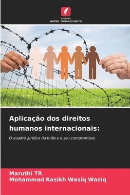 bokomslag Aplicao dos direitos humanos internacionais