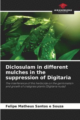 Diclosulam in different mulches in the suppression of Digitaria 1