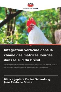 bokomslag Intgration verticale dans la chane des matrices lourdes dans le sud du Brsil