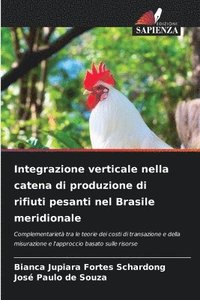 bokomslag Integrazione verticale nella catena di produzione di rifiuti pesanti nel Brasile meridionale