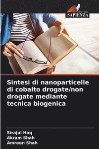 bokomslag Sintesi di nanoparticelle di cobalto drogate/non drogate mediante tecnica biogenica